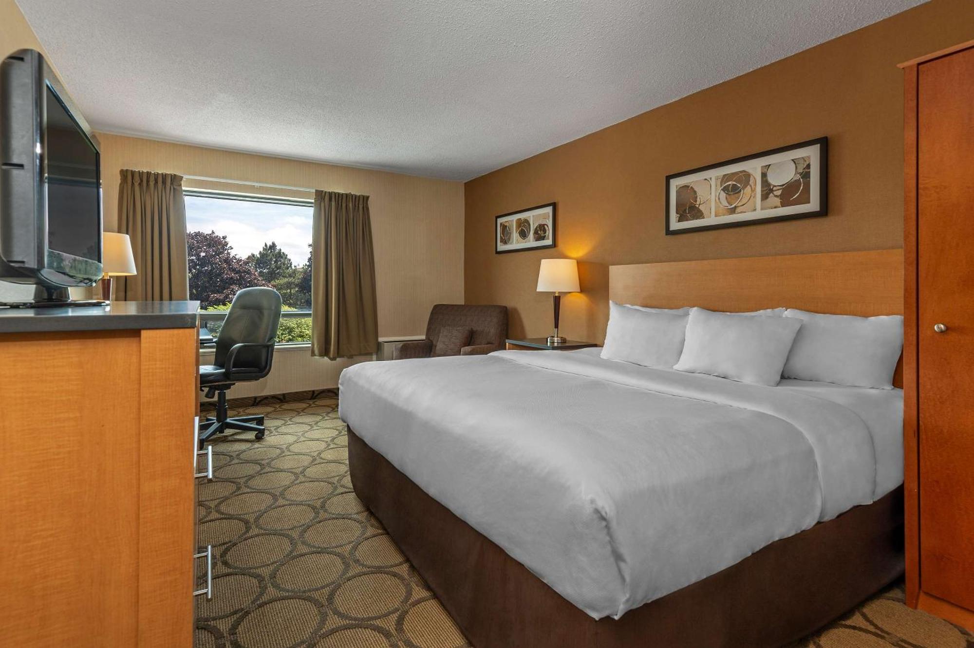 אדמונטון Comfort Inn West מראה חיצוני תמונה